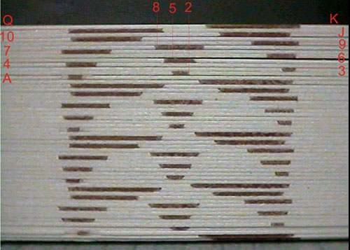 Barcode Marked Cards, Marked Cards