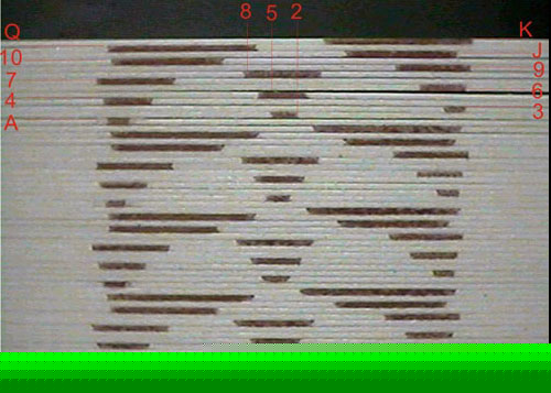 Barcode Marked Cards, Marked Cards